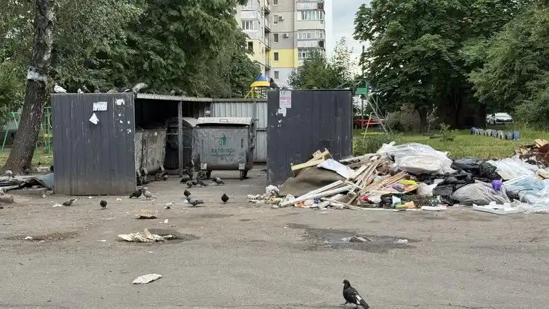 Сміття під вікнами: мешканці Полтави борються зі стихійними звалищами, комунальники скаржаться на нестачу рук