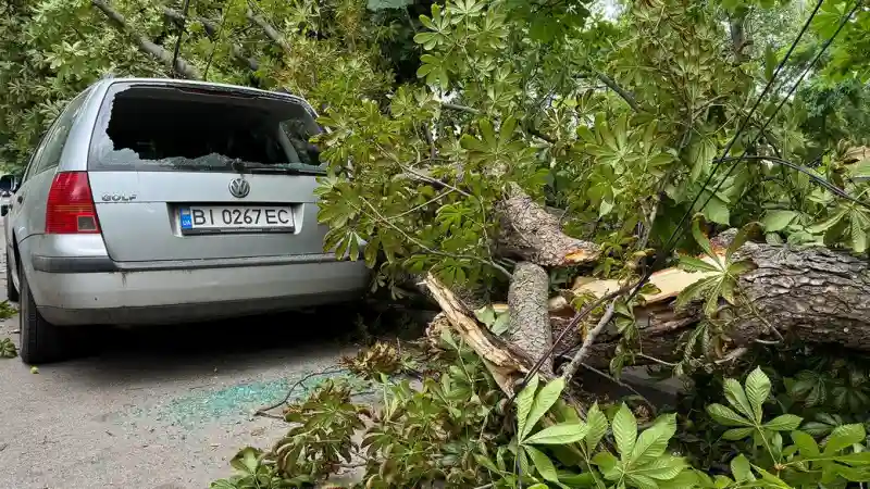 Сильний вітер у Полтаві спричинив масові падіння дерев та пошкодження авто