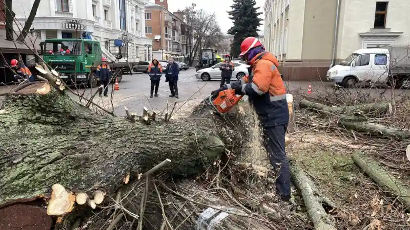 У Полтаві виділили понад мільйон гривень на спилювання аварійних дерев після інциденту з травмуванням дитини